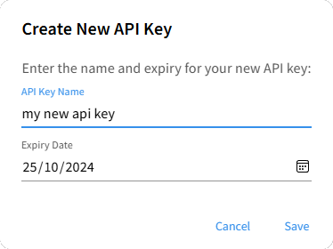 api key Illustration